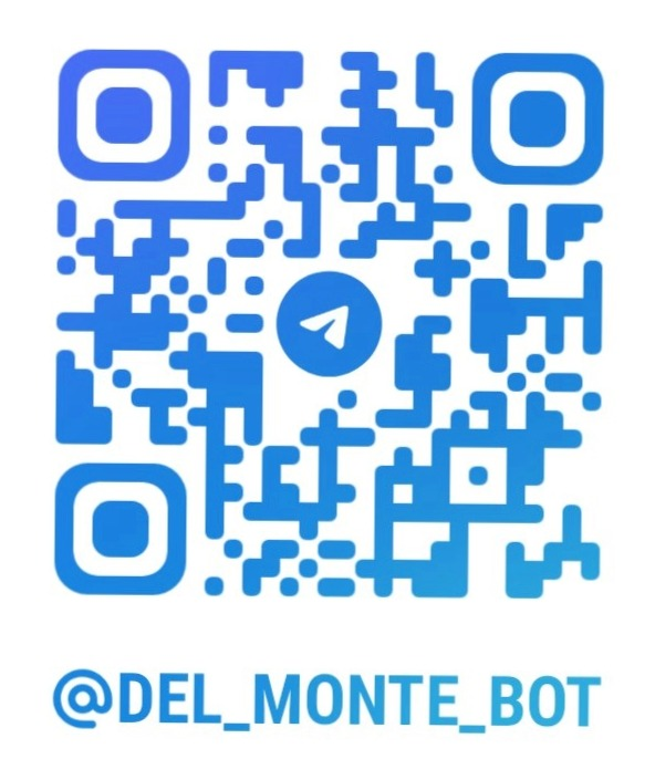 QR Bot